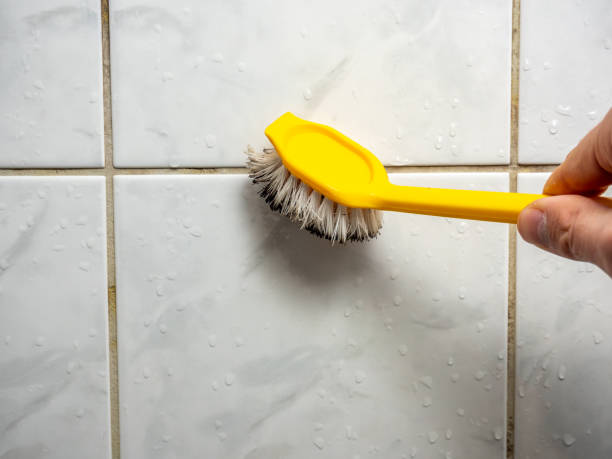 Best Mold Removal Company Near Me  in Tenino, WA
