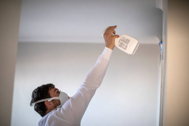 Best Same-Day Mold Removal  in Tenino, WA