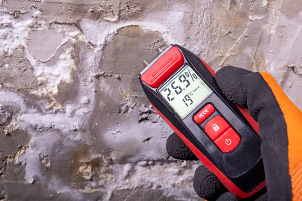 Best Toxic Mold Removal  in Tenino, WA